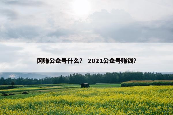 网赚公众号什么？ 2021公众号赚钱？