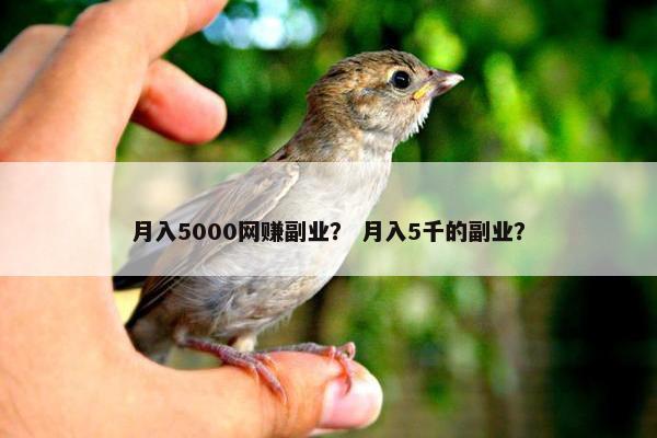 月入5000网赚副业？ 月入5千的副业？