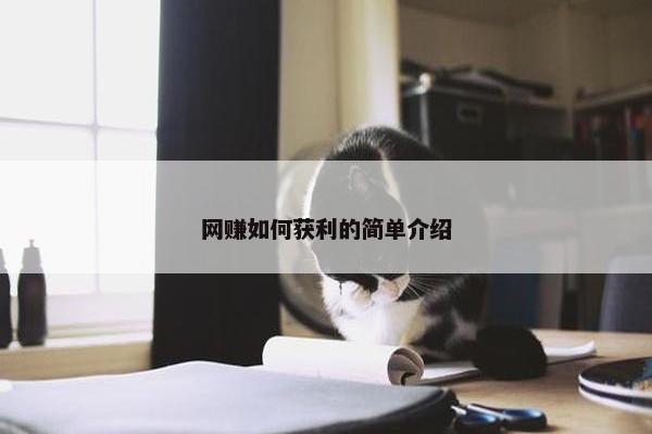网赚如何获利的简单介绍