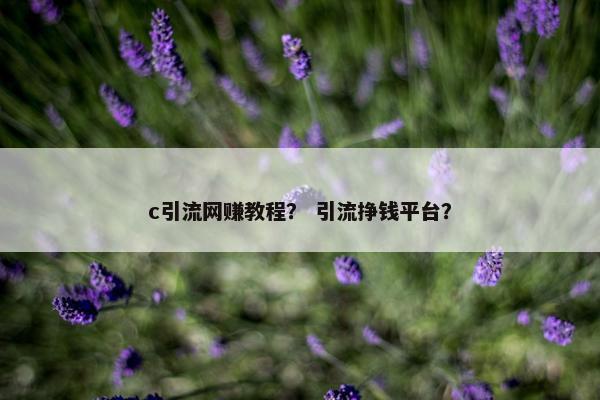 c引流网赚教程？ 引流挣钱平台？
