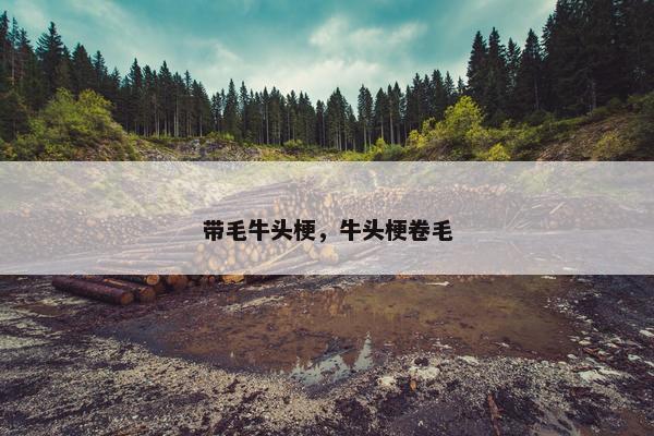 带毛牛头梗，牛头梗卷毛
