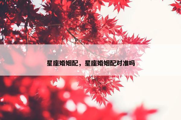 星座婚姻配，星座婚姻配对准吗