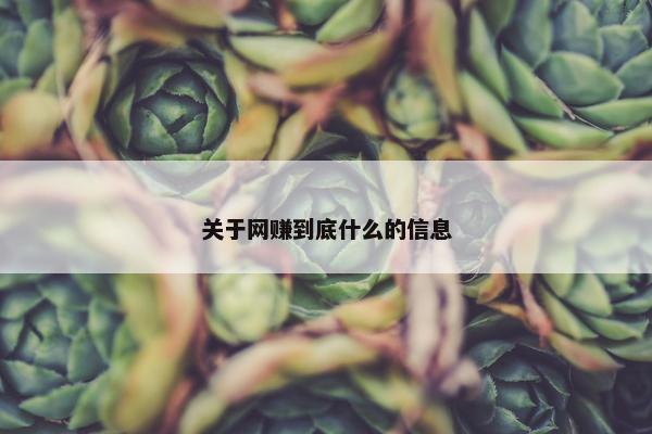 关于网赚到底什么的信息