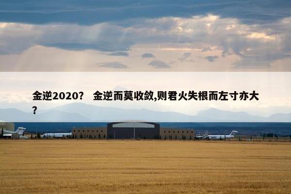 金逆2020？ 金逆而莫收敛,则君火失根而左寸亦大？