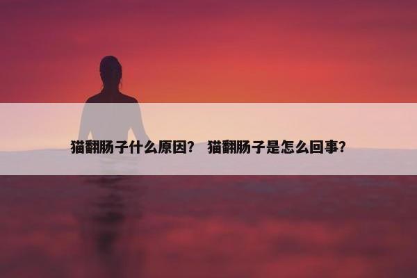 猫翻肠子什么原因？ 猫翻肠子是怎么回事？