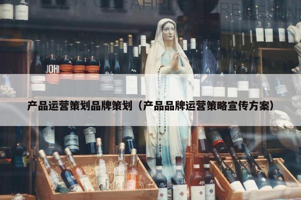产品运营策划品牌策划（产品品牌运营策略宣传方案）