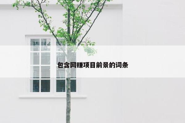 包含网赚项目前景的词条