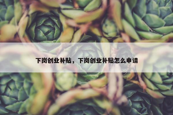 下岗创业补贴，下岗创业补贴怎么申请