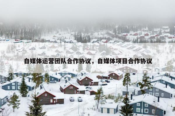 自媒体运营团队合作协议，自媒体项目合作协议