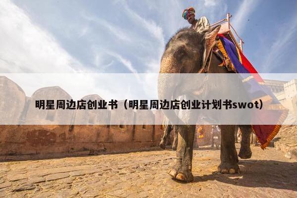 明星周边店创业书（明星周边店创业计划书swot）