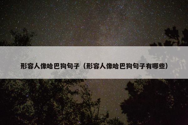 形容人像哈巴狗句子（形容人像哈巴狗句子有哪些）