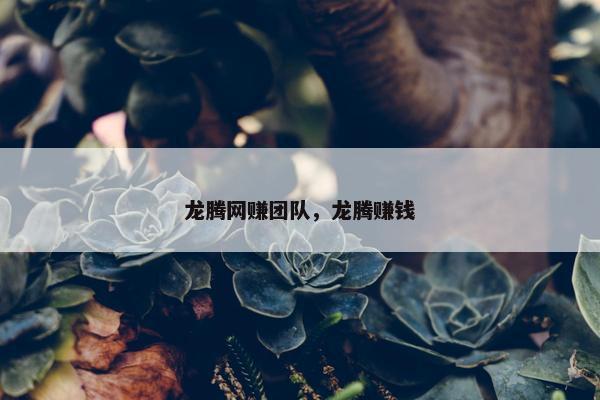 龙腾网赚团队，龙腾赚钱