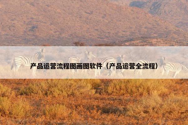产品运营流程图画图软件（产品运营全流程）