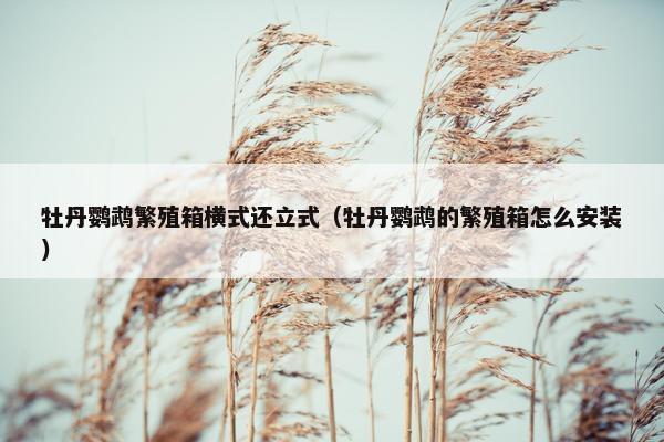 牡丹鹦鹉繁殖箱横式还立式（牡丹鹦鹉的繁殖箱怎么安装）