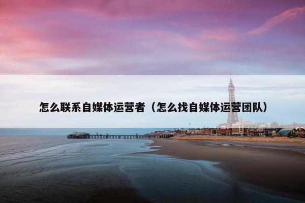怎么联系自媒体运营者（怎么找自媒体运营团队）