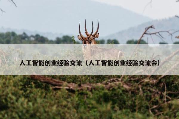 人工智能创业经验交流（人工智能创业经验交流会）