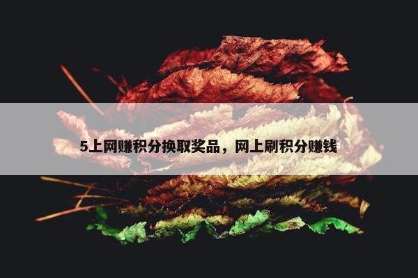 5上网赚积分换取奖品，网上刷积分赚钱