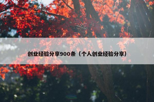 创业经验分享900条（个人创业经验分享）