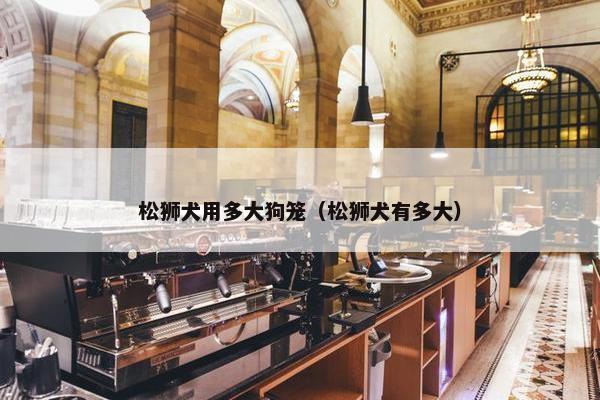 松狮犬用多大狗笼（松狮犬有多大）