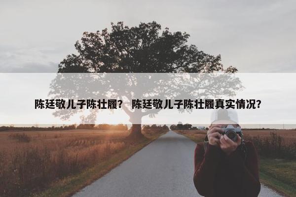 陈廷敬儿子陈壮履？ 陈廷敬儿子陈壮履真实情况？