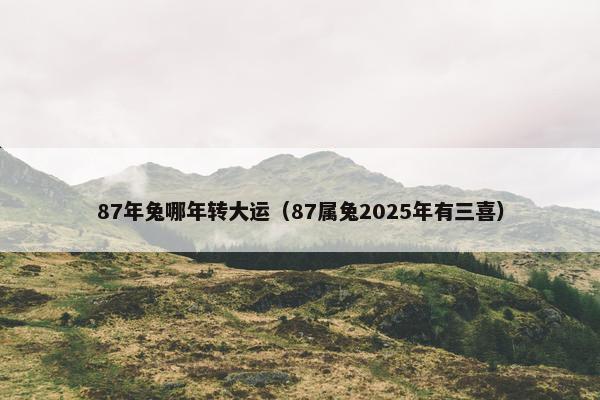 87年兔哪年转大运（87属兔2025年有三喜）