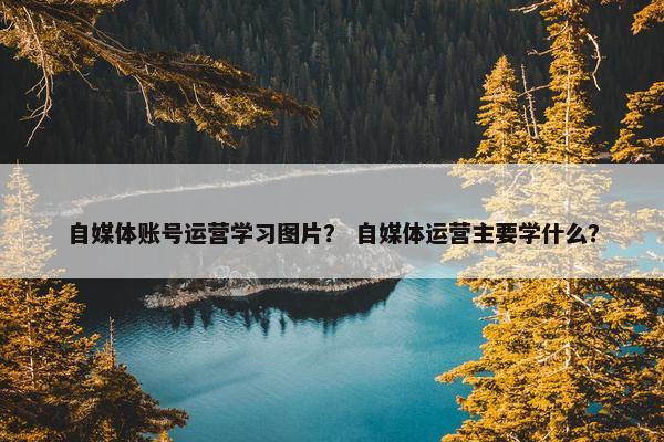 自媒体账号运营学习图片？ 自媒体运营主要学什么？