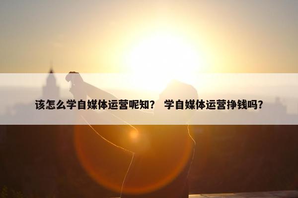 该怎么学自媒体运营呢知？ 学自媒体运营挣钱吗？