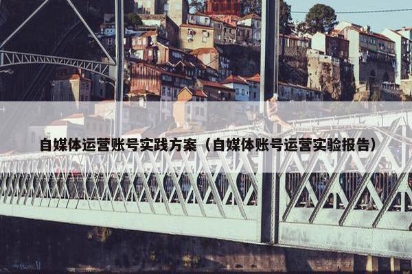 自媒体运营账号实践方案（自媒体账号运营实验报告）