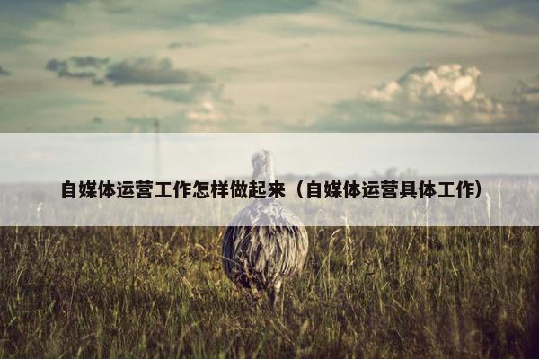 自媒体运营工作怎样做起来（自媒体运营具体工作）
