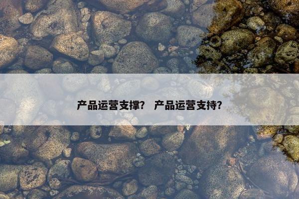 产品运营支撑？ 产品运营支持？