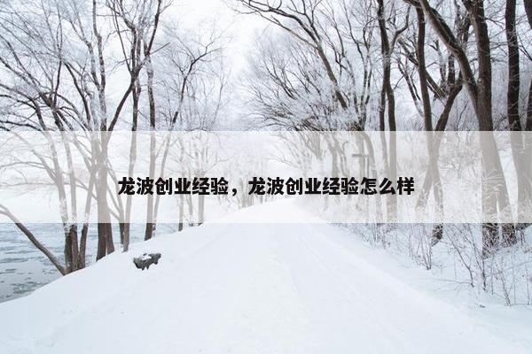 龙波创业经验，龙波创业经验怎么样