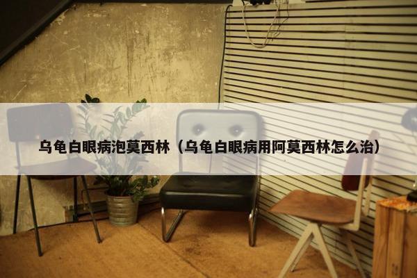 乌龟白眼病泡莫西林（乌龟白眼病用阿莫西林怎么治）