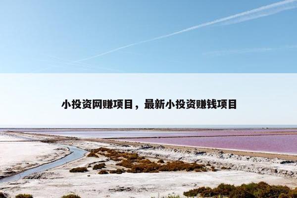 小投资网赚项目，最新小投资赚钱项目