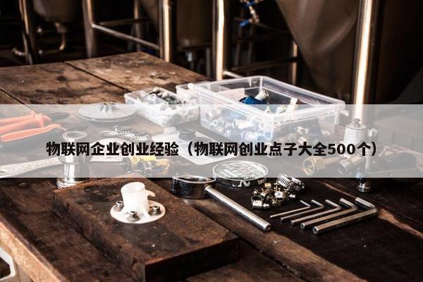 物联网企业创业经验（物联网创业点子大全500个）