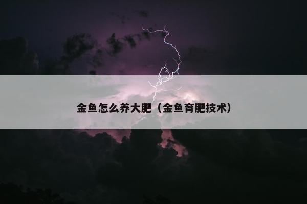 金鱼怎么养大肥（金鱼育肥技术）