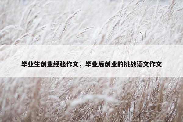 毕业生创业经验作文，毕业后创业的挑战语文作文