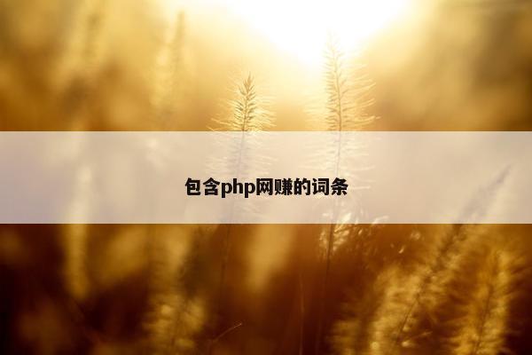 包含php网赚的词条