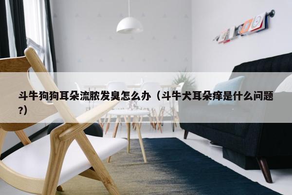 斗牛狗狗耳朵流脓发臭怎么办（斗牛犬耳朵痒是什么问题?）