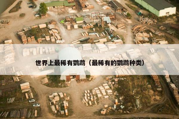 世界上最稀有鹦鹉（最稀有的鹦鹉种类）