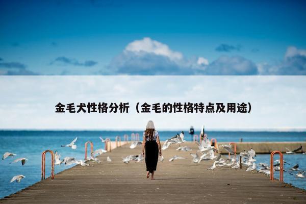 金毛犬性格分析（金毛的性格特点及用途）