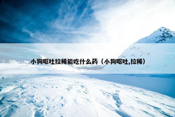 小狗呕吐拉稀能吃什么药（小狗呕吐,拉稀）