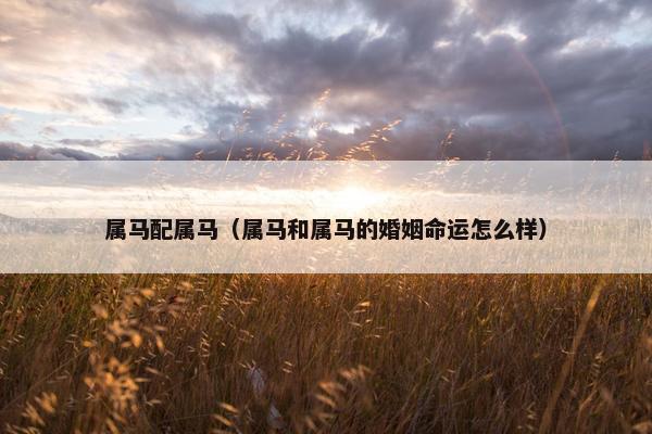 属马配属马（属马和属马的婚姻命运怎么样）