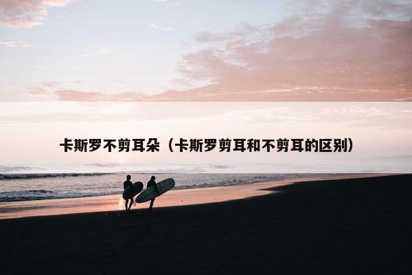 卡斯罗不剪耳朵（卡斯罗剪耳和不剪耳的区别）