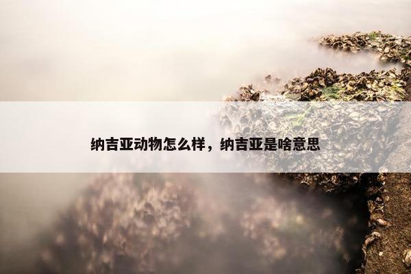 纳吉亚动物怎么样，纳吉亚是啥意思