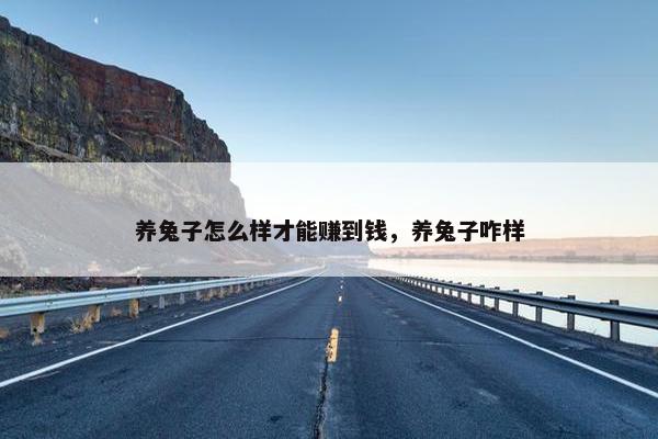 养兔子怎么样才能赚到钱，养兔子咋样