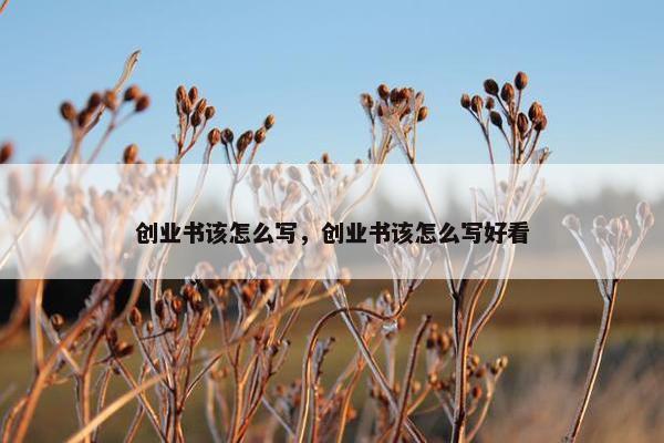 创业书该怎么写，创业书该怎么写好看