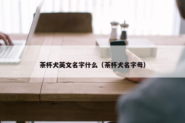 茶杯犬英文名字什么（茶杯犬名字母）