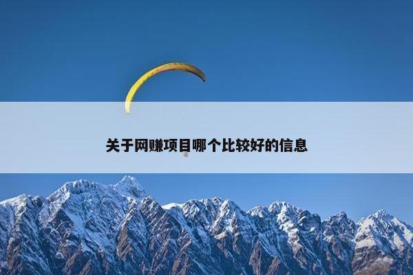 关于网赚项目哪个比较好的信息