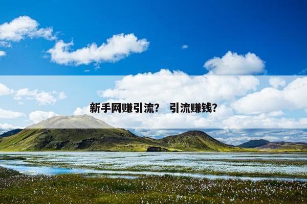 新手网赚引流？ 引流赚钱？