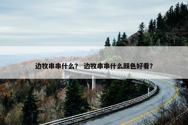 边牧串串什么？ 边牧串串什么颜色好看？